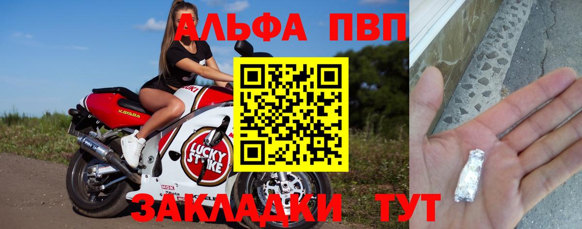 Alfa_PVP СК Грязи