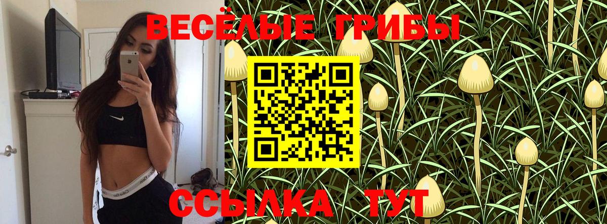 Галлюциногенные грибы Magic Shrooms Грязи