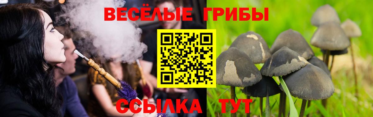 Грязи  Псилоцибиновые грибы Psilocybine cubensis  Галлюциногенные грибы ЛСД  Вход с VPN 
